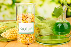 Market Warsop biofuel availability