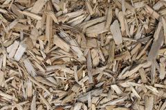 biomass boilers Market Warsop